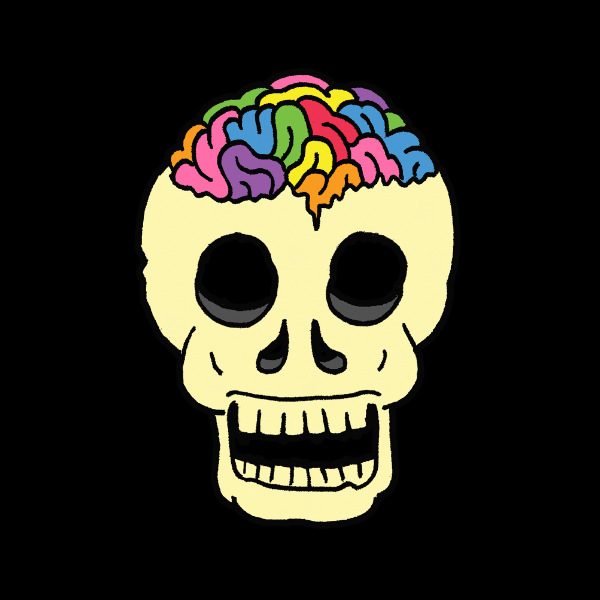 Ramin_nazer_rainbow_skullcanday_600